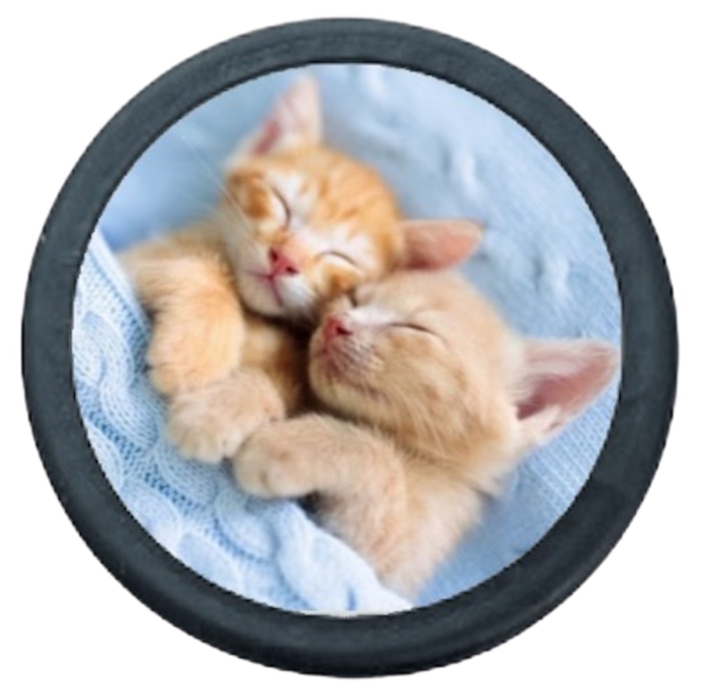 Replacement Parts kit for Littmann Classic III or Cardiology IV Stethoscopes. Print your custom image on the Diaphragm.
